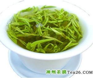 竹叶青茶