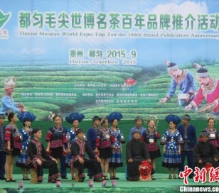 贵州举行都匀毛尖世博名茶百年品牌推介活动
