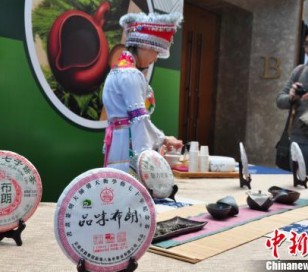 云南农产品远销110个国家及地区普洱茶引导“绿色生活”