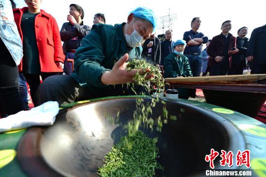 “土家茶乡”湖北五峰茶旅融合助农民增收
