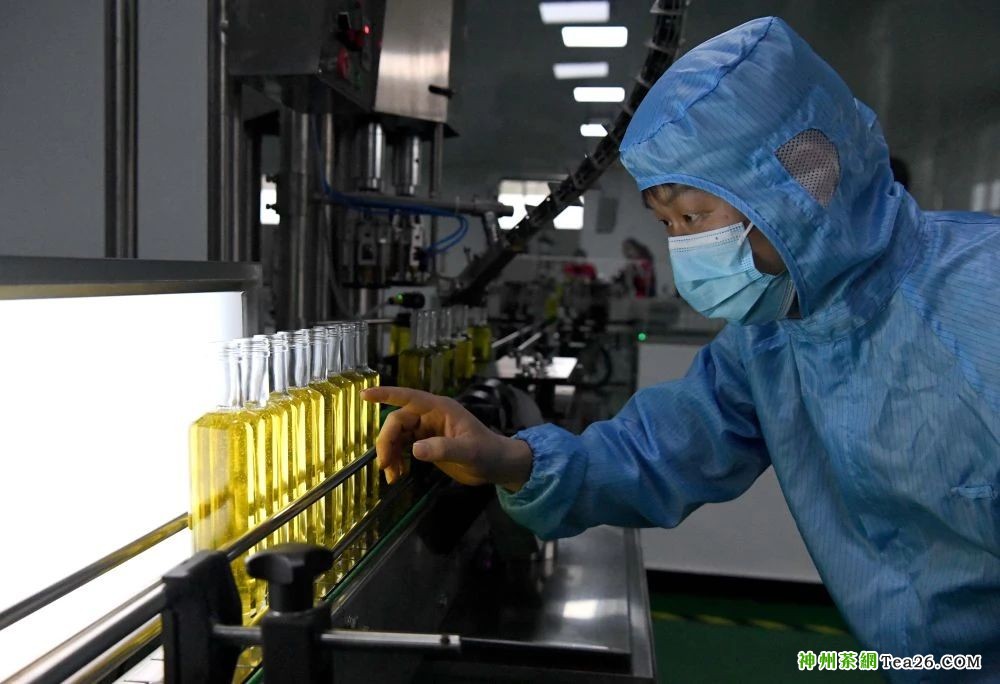 △3月27日，工作人员在河南省光山县一家油茶加工企业的灌装车间作业。